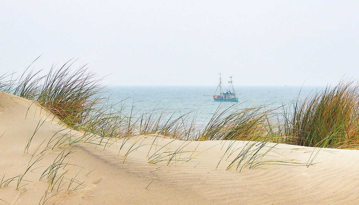 Blick auf die Nordsee mit Dünen