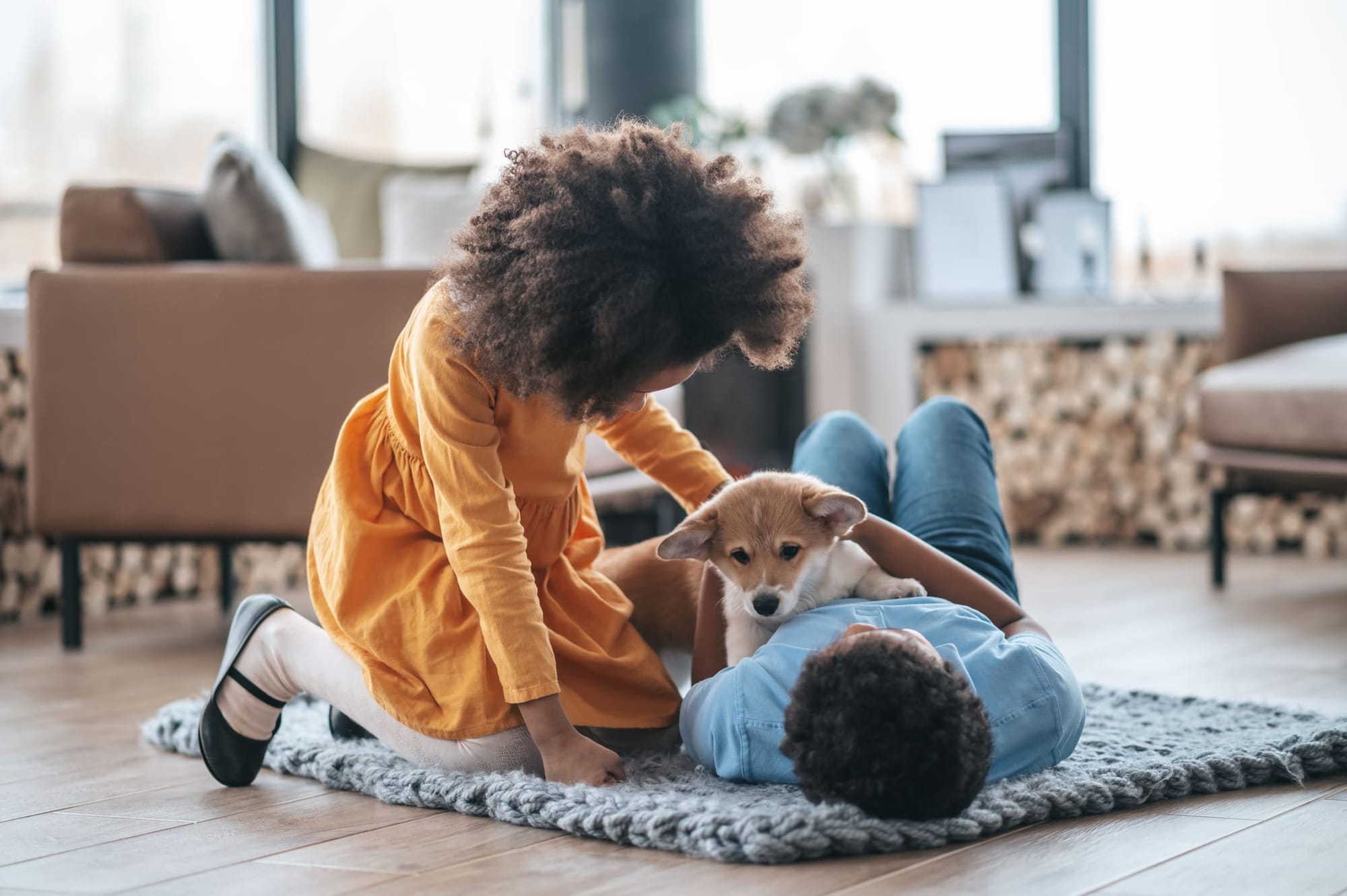 Kinder spielen zu Hause mit einem Hund – Haustierbetreuung dank Haustausch