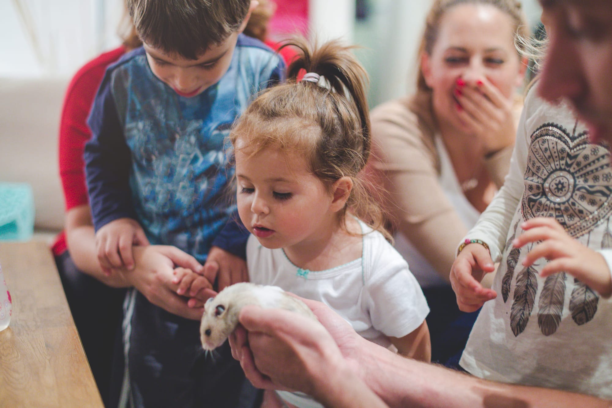 Kinder spielen mit einem Hamster – Haustierbetreuung mit HomeExchange